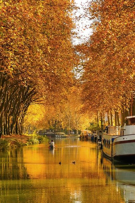 Canal du Midi - Près de l'Hôtel Résidence à Nissan-Lez-Enserune (34)