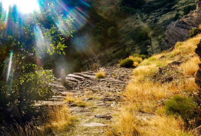 Parc Naturel Régional du Haut Languedoc - Près de l'Hôtel Résidence à Nissan-Lez-Enserune (34)