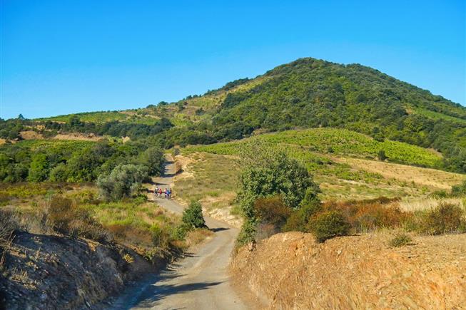 Parc Naturel Régional du Haut Languedoc - Près de l'Hôtel Résidence à Nissan-Lez-Enserune (34)