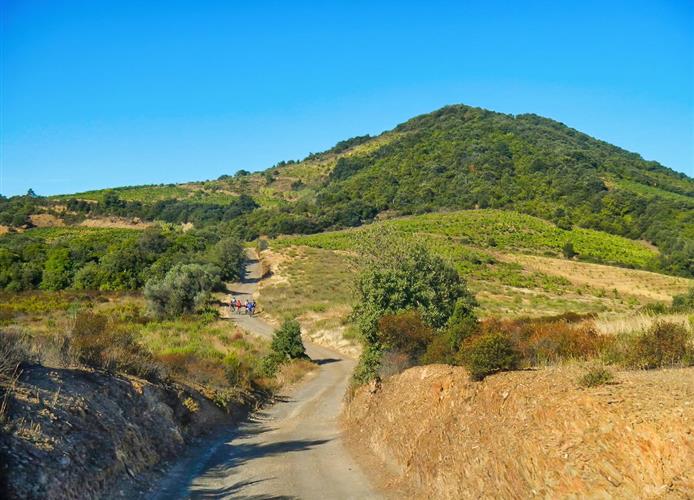 Parc Naturel Régional du Haut Languedoc - Près de l'Hôtel Résidence à Nissan-Lez-Enserune (34)