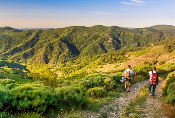 Parc Naturel Régional des Cévennes - Près de l'Hôtel Résidence à Nissan-Lez-Enserune (34)