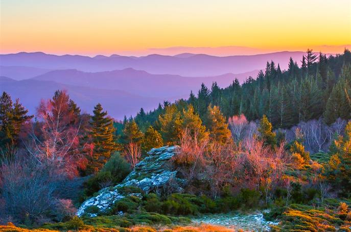 Parc Naturel Régional des Cévennes - Près de l'Hôtel Résidence à Nissan-Lez-Enserune (34)